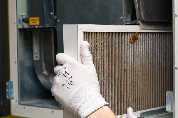 Best Air Duct Cleaning Near Me  in Fort Dodge, IA