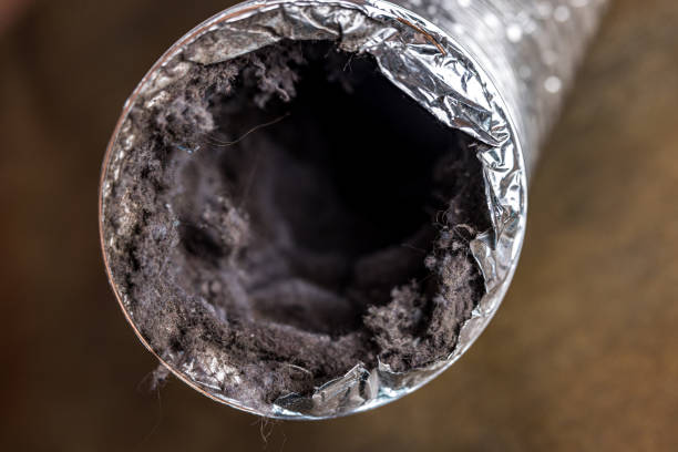 Best Ventilation Cleaning Services  in Fort Dodge, IA