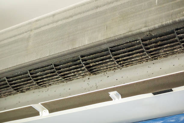 Best Residential Air Duct Cleaning  in Fort Dodge, IA