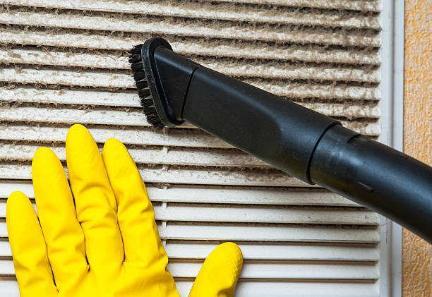 Best Affordable Air Duct Cleaning  in Fort Dodge, IA